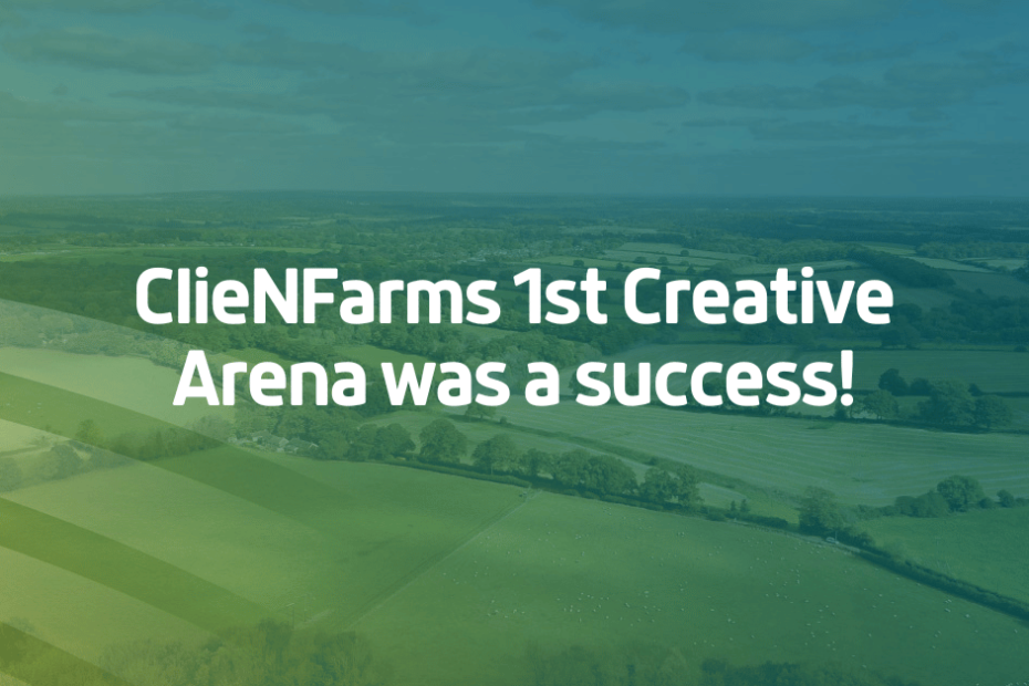 The first creative arena was a success