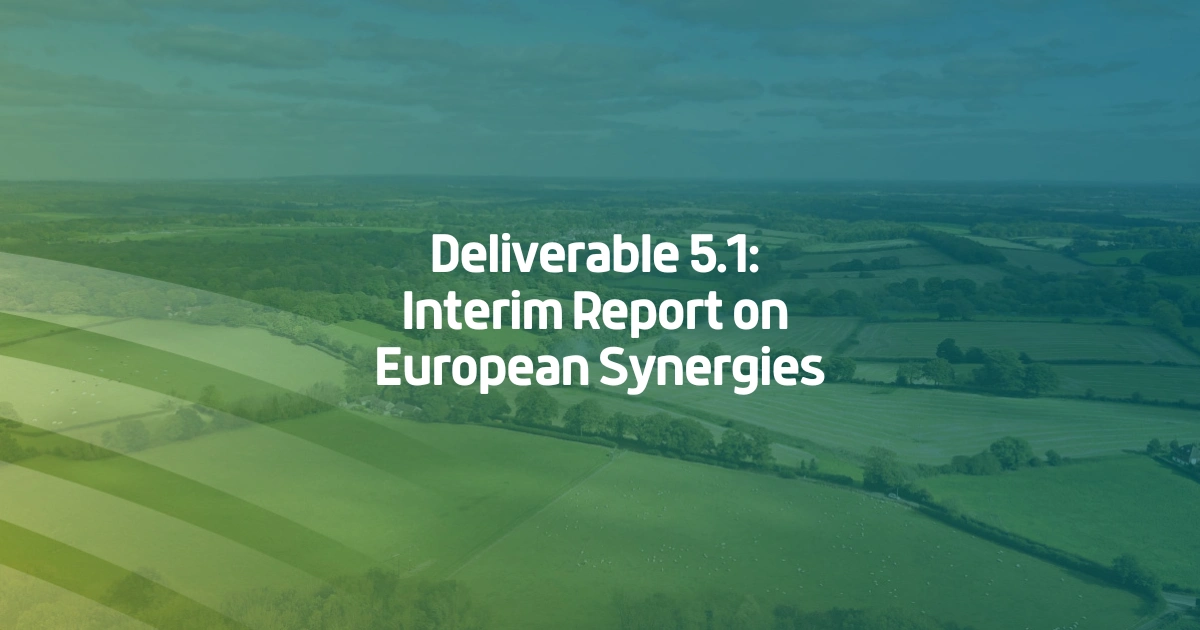 Deliverable 5.1 Interim Report on European Synergies